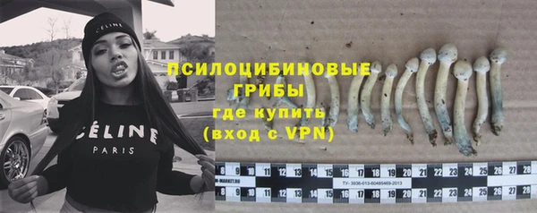 стафф Беломорск