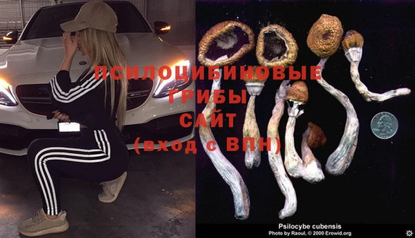 мдма Белокуриха