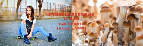 мдма Белокуриха