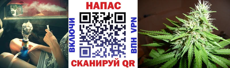 купить наркотики сайты  Павловск  MEGA tor  Бошки Шишки сатива 